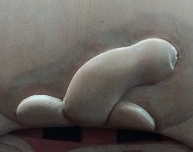 T?whirim?tea's penis